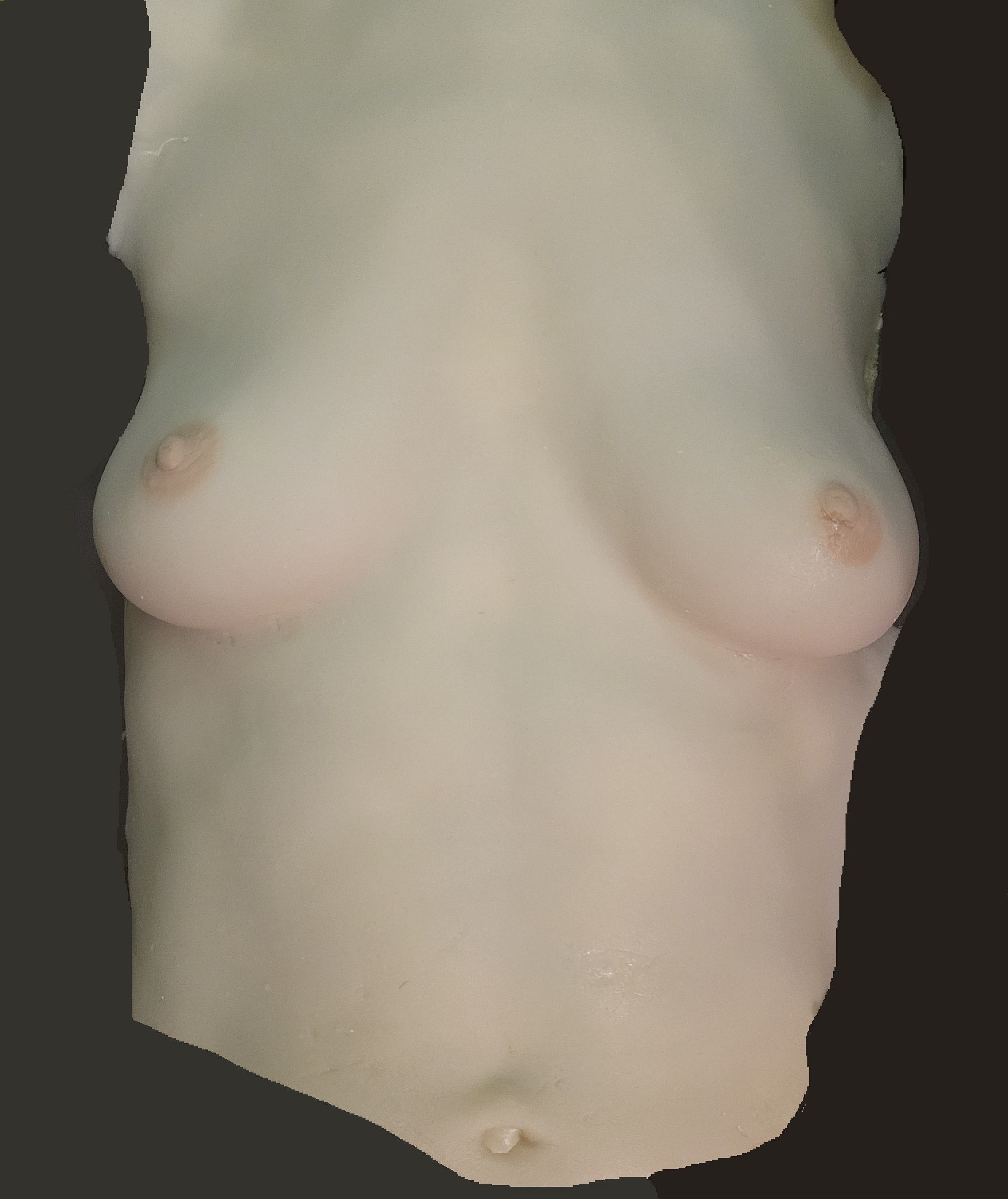 silicone lifecast of female torso: shoulders to waist in natural colors