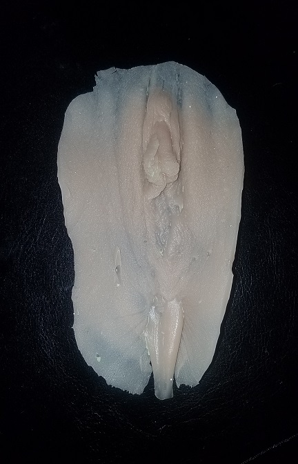 silicone casting made from vulva