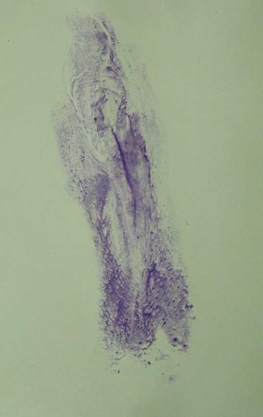 print of purple body painted from labia