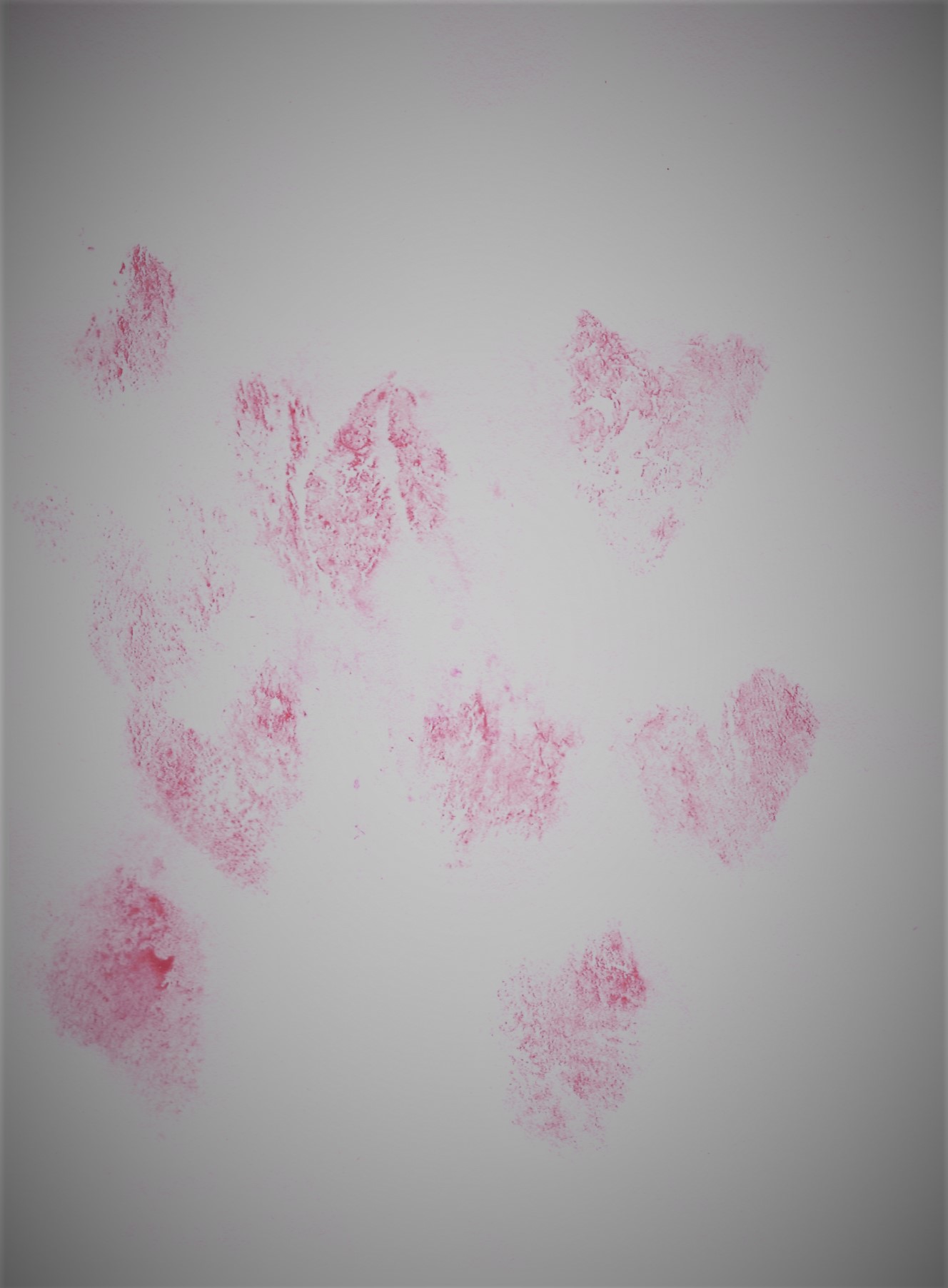 print of pink hearts painted on labia