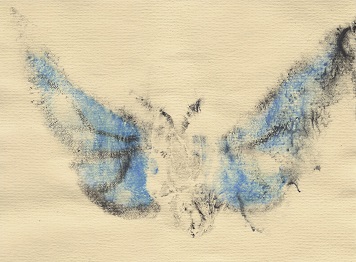 print of blue butterfly from painted labia