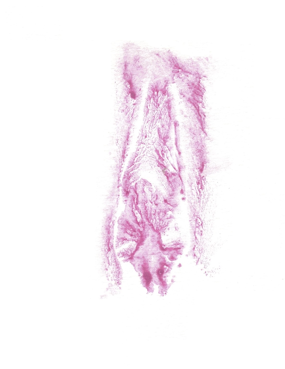red print of vulva
