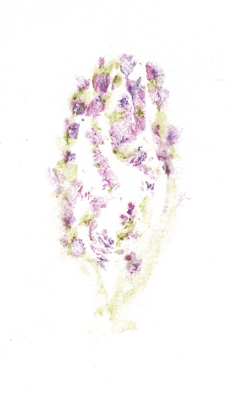 print of lilacs painted on labia